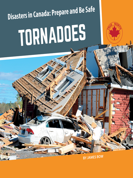 Cover image for Tornadoes